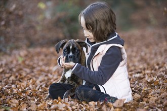 Boxer puppy sitting with little girl in autumn leaves