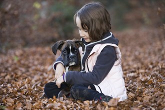 Boxer puppy sitting with little girl in autumn leaves