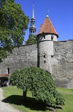 Neitsi tower on the western ramparts