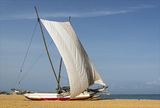 Traditional catamaran fishing boat