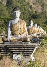 Buddha statues lined up in rows at the foot of Mt Zwegabin