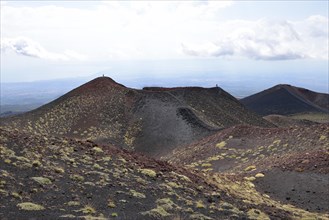 Black lava with vegetation at the crater Crateri Silvestri