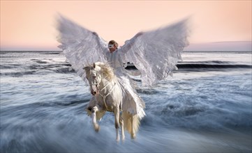 Pegasus on the horse flies over the water