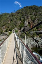 Suspension bridge over the Cataract gorge