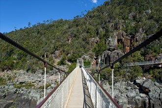 Suspension bridge over the Cataract gorge