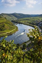 Cruise ship at the Moselle river bend near Bremm