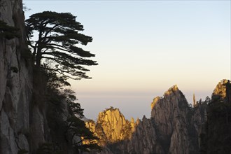 Bizarre towering rocks and mountains covered with scattered trees