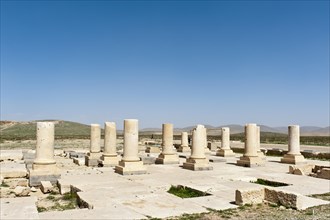 Archaeology
