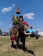 War elephant carrying a tourist on the tusks