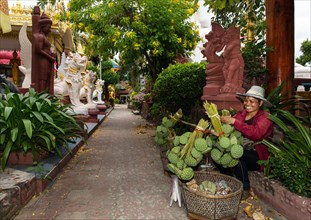 Woman selling lotus fruits in Wat Phra Chao Tai Yai Ong Tue temple