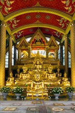 Golden Buddha statues in the temple district Wat Phra That Nong Bua