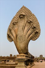 Seven-headed Naga at the western access route
