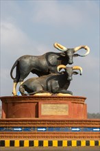 Bull monument at the roundabout