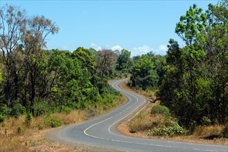 Curvy road in Ou Reang