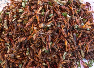 Fried grasshoppers on a market