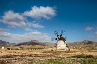 Windmill