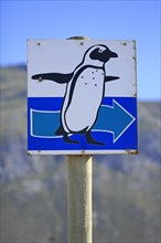 Signpost with penguin