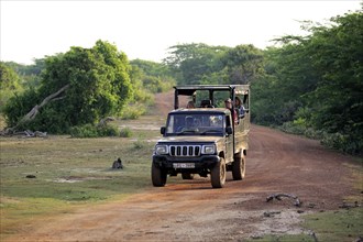 Safari vehicle