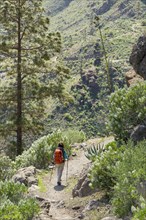 Mountain landscape above Soria
