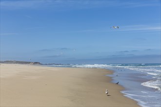 Sandy beach off Highway 1 or California State Route 1 at San Gregorio