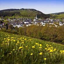 View of the town in spring with the church of St. Heribert