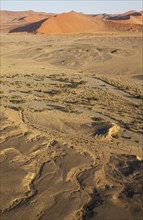 Arid plains and dry riverbed of the Tsauchab river at the edge of the Namib Desert