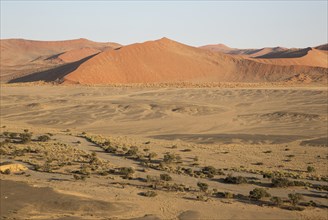 Arid plains and dry riverbed of the Tsauchab river at the edge of the Namib Desert