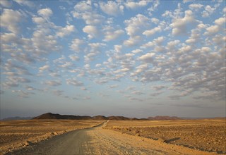 Gravel road on arid plain