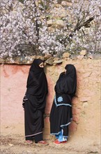 Berber women chatting in front of a wall with blossoming almond trees