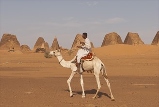 Local man riding a dromedary in front of the pyramids of the north cemetery of Meroe