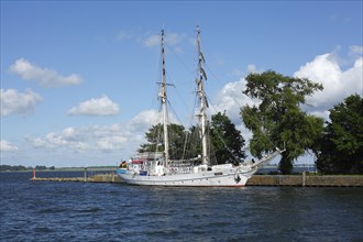 Sailboat Greif in Wieck harbor