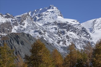 Findelntal in autumn with snowy Rimpfischhorn