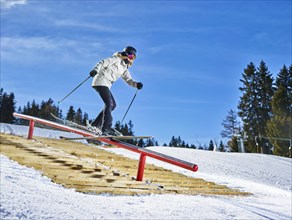 Teenage skier with twin-tips