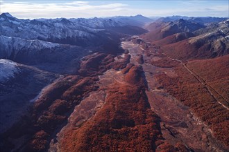 Aerial view of bog