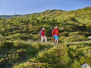 Woman 35-40 years and man 40-45 years hiking