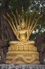 Buddha Statue