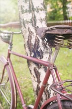 Rural scene with an old retro bike by leaning against a birch tree