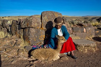 Aymara Indian woman in traditional dress sitting against stone wall with guanaco