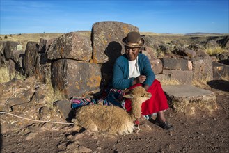 Aymara Indian woman in traditional dress sitting against stone wall with guanaco