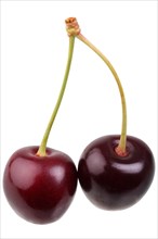 Sweet cherry