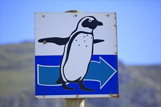 Signpost with penguin