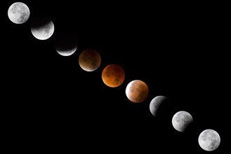 Phases of the lunar eclipse with Blood Moon and Super moon