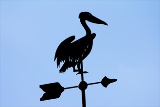 Wind direction knife in the shape of a pelican