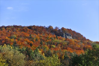 Autumn coloured trees on Mt Glatzenstein