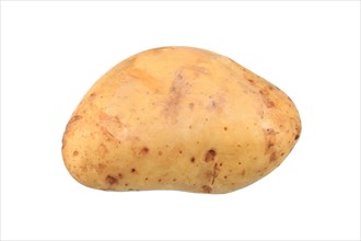 Potato