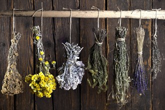 Various herbal bouquets