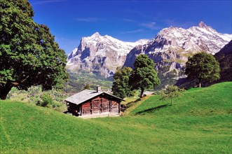 Alpine hut above Grindelwald
