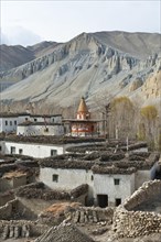 Tibetan architecture