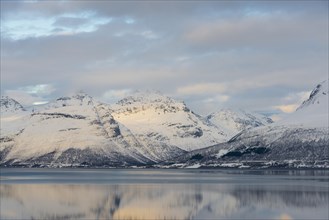 Fjord in winter
