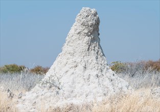 Termite mound at the edge of the Etosha Pan